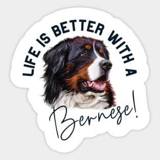 Bernese mountain dog Sticker